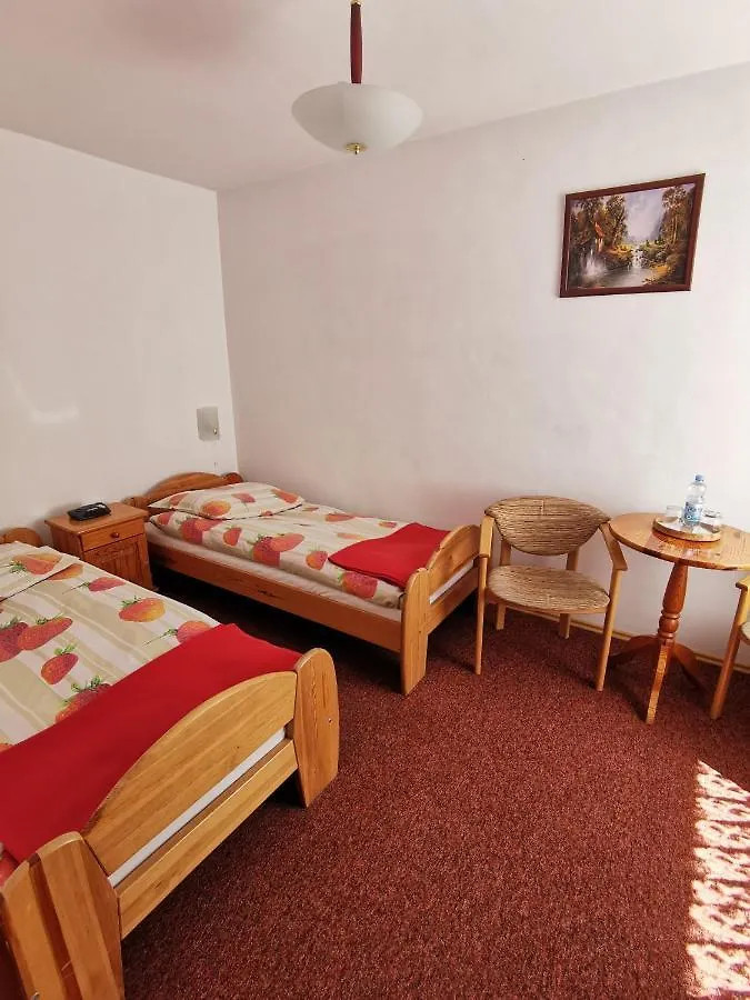 Dom Pod Tujami Bed & Breakfast Krakow