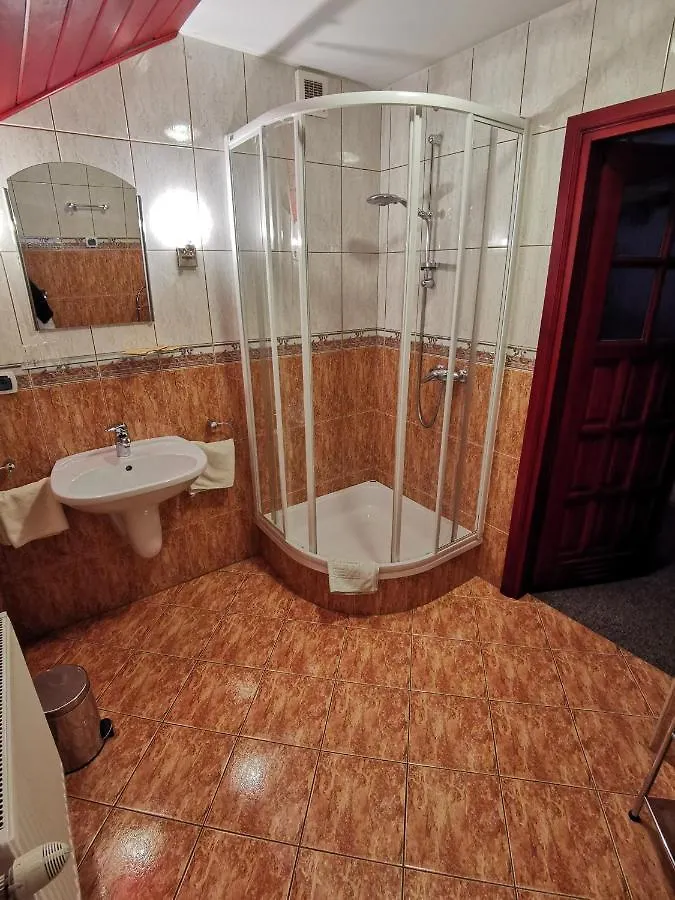 Dom Pod Tujami Bed & Breakfast Krakow 0*,  Poland